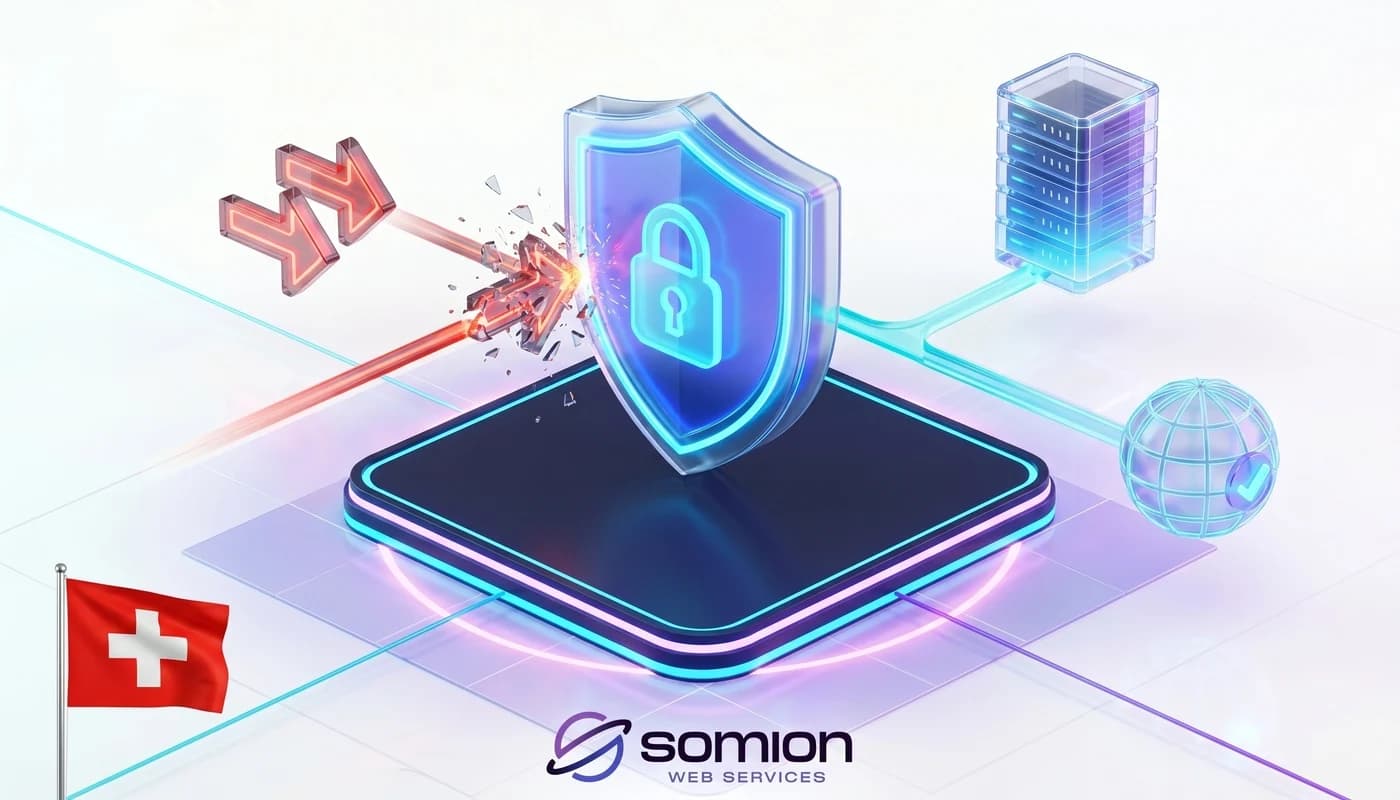 Website Hosting with DDoS